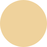 Ellipse_orange